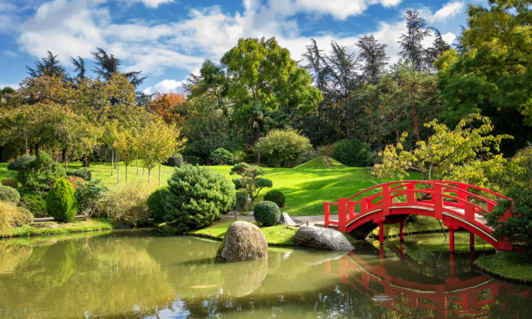 Agence immobilière Compans Caffarelli Toulouse