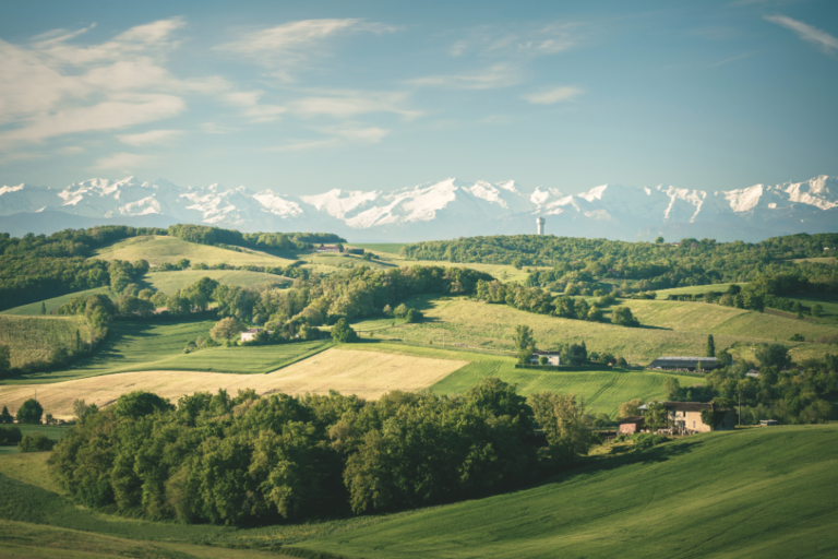 Photo Prix m2 Quint Fonsegrives