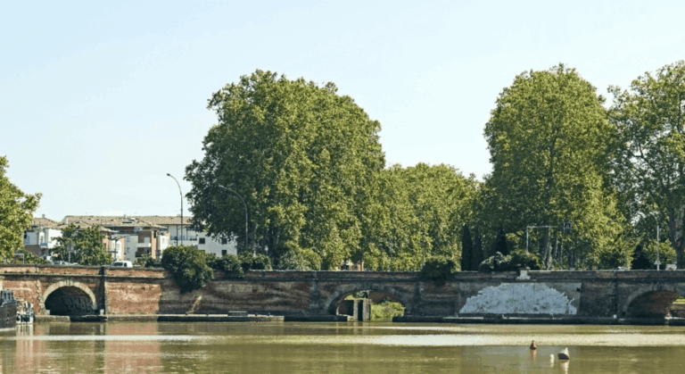 vendre appartement ponts jumeaux toulouse