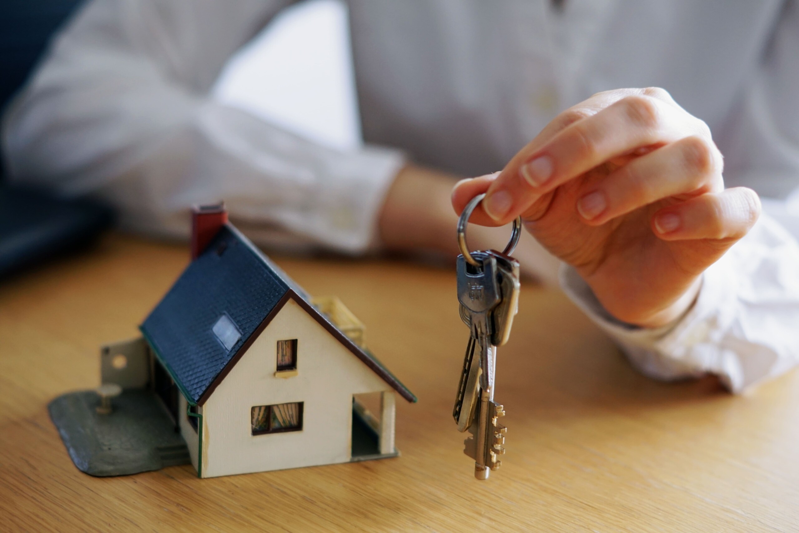 immobilier l'union